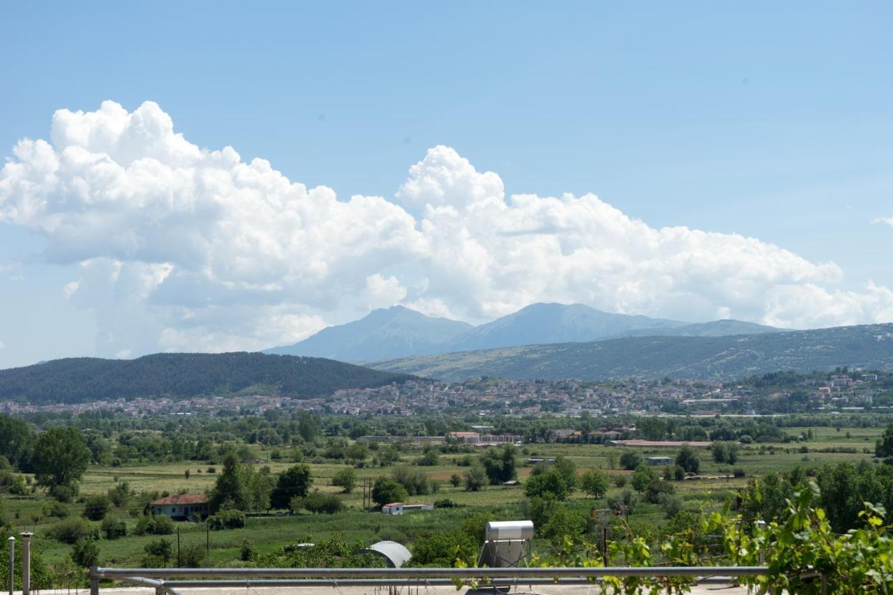 Ferienwohnung Valena'S House Ioannina Exterior foto